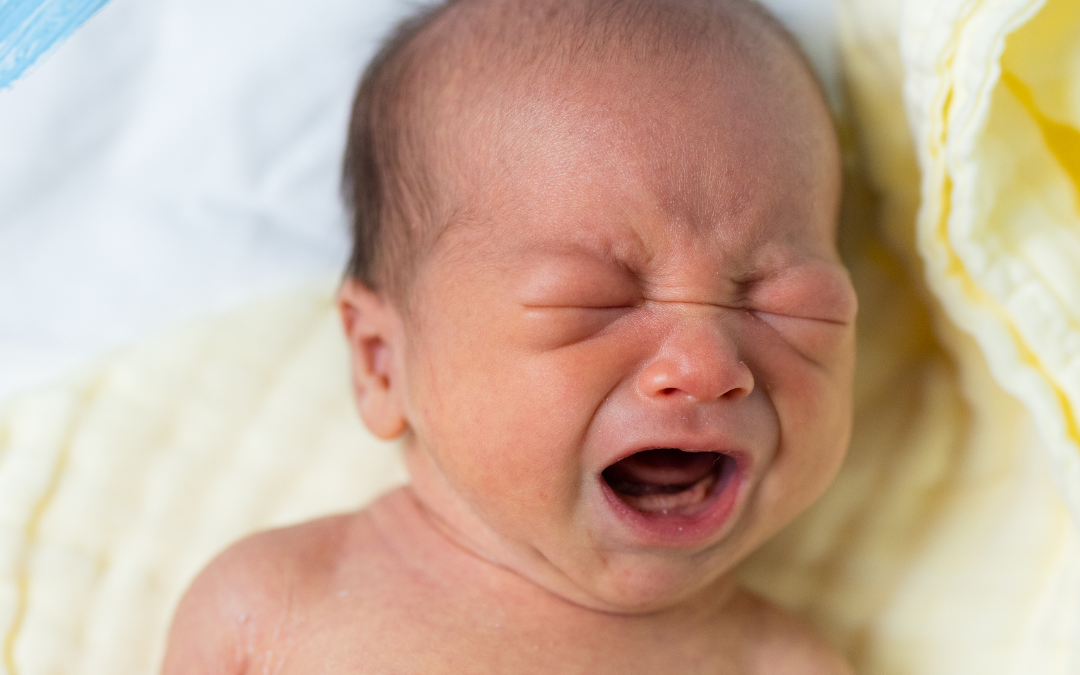 neonato